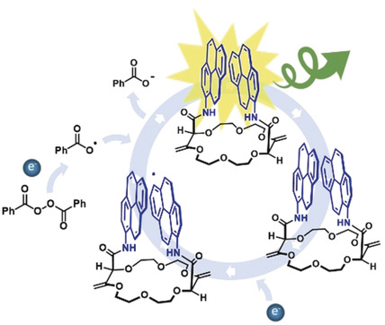 Circularly-Polarized Electrochemiluminescence from a Chiral Bispyrene Organic Macrocycle