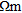 urn:x-wiley:15694445:nsg2013046:equation:nsg2013046-math-0011