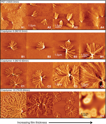 Details are in the caption following the image