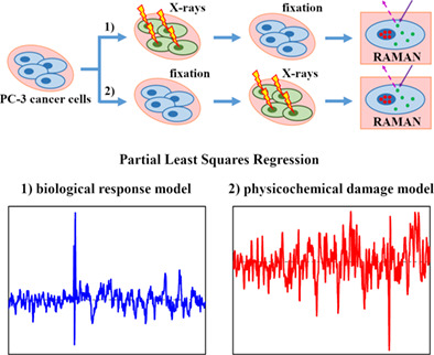Physicochemical damage and early-stage biological response to X-ray radiation studied in prostate cancer cells by Raman spectroscopy