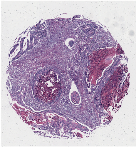 Details are in the caption following the image
