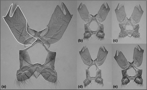 Details are in the caption following the image