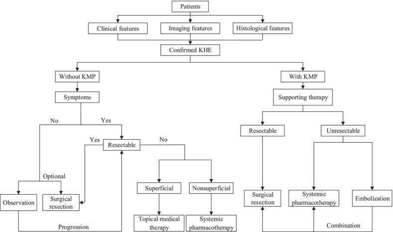 Consensus statement for the diagnosis, treatment, and prognosis of kaposiform hemangioendothelioma