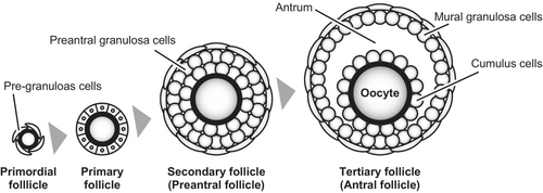 Details are in the caption following the image
