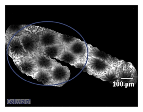 Details are in the caption following the image