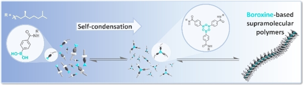 Functionalization of Supramolecular Polymers by Dynamic Covalent Boroxine Chemistry