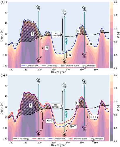 Details are in the caption following the image Details are in the caption following the image
