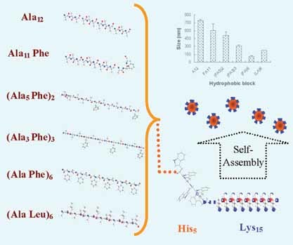 Design and Evaluation of Peptide Amphiphiles with Different Hydrophobic Blocks for Simultaneous Delivery of Drugs and Genes
