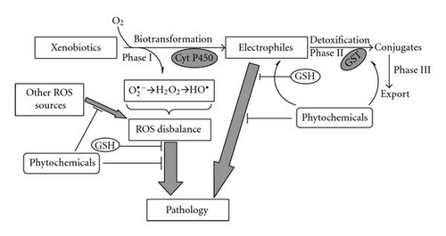 Details are in the caption following the image