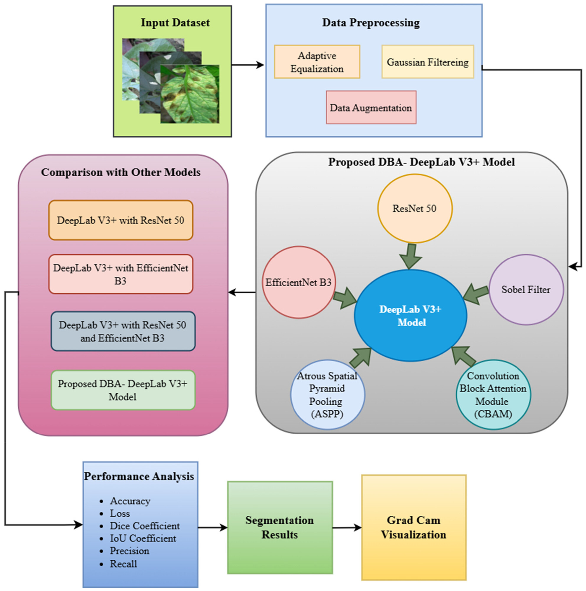 DBA-DeepLab: Dual-Backbone Attention-Enhanced DeepLab V3+ Model for Plant Disease Segmentation