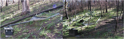 Details are in the caption following the image Details are in the caption following the image