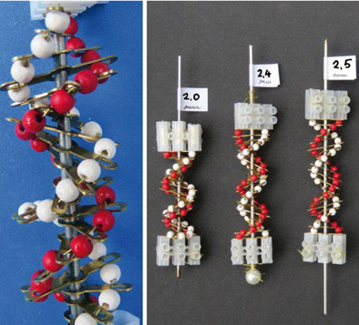 Visualisierung der DNA-Doppelhelixstruktur mit einfachen Mitteln