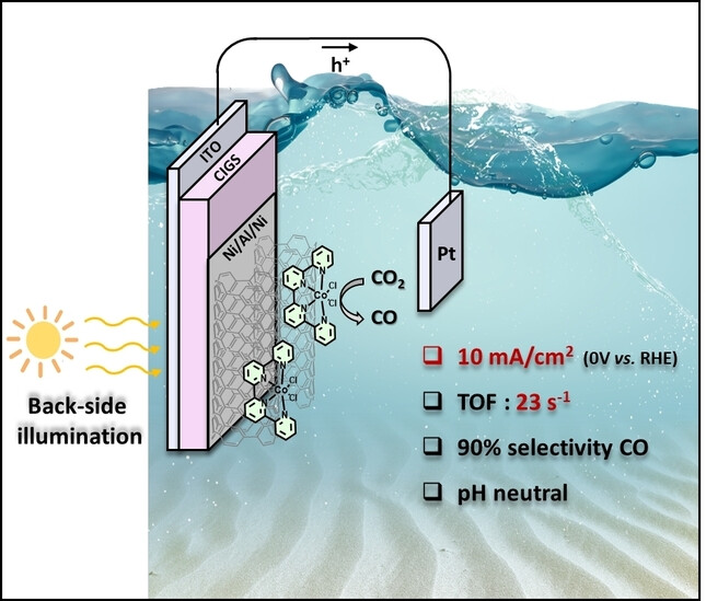 Hybrid CIGS-Cobalt Quaterpyridine Photocathode with Backside Illumination: A New Paradigm for Solar Fuel Production