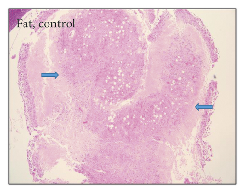 Details are in the caption following the image