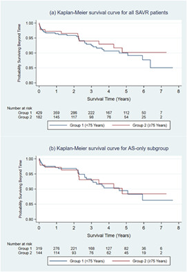 A contemporary evaluation of surgical aortic valve replacement outcomes and temporal trends