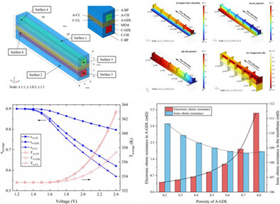 3D two-phase and non-isothermal modeling for PEM water electrolyzer: Heat and mass transfer characteristic investigation