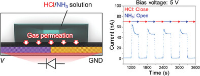 In-Situ Gas Permeation-Driven Ionic Current Rectification of Heterogeneously Charged Nanopore Arrays