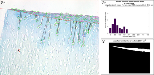Details are in the caption following the image Details are in the caption following the image