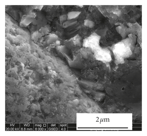 Details are in the caption following the image