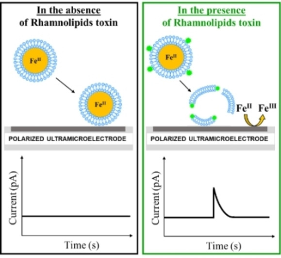 Detection of Bacterial Rhamnolipid Toxin by Redox Liposome Single Impact Electrochemistry