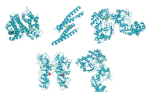 Details are in the caption following the image Details are in the caption following the image