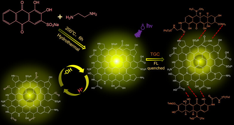 Yellow-Fluorescence Carbon Dots Employed for pH Sensing and Detection of Tigecycline†