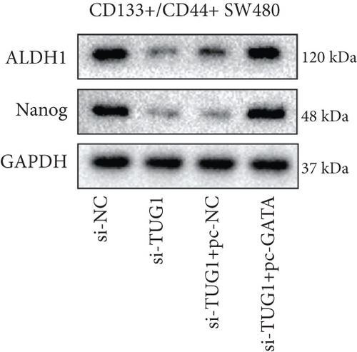 Details are in the caption following the image
