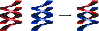 Cross-Hybridization of Pyridinedicarboxamide Helical Strands and Their N-Oxides