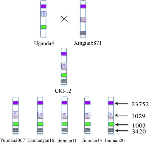 Details are in the caption following the image Details are in the caption following the image