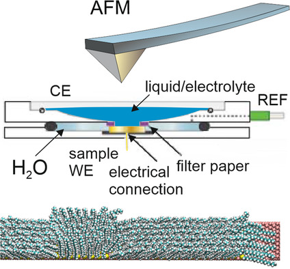 In Operando Atomic Force Microscopy Imaging of Electrochemical Interfaces: A Short Perspective