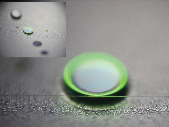 Whispering gallery microcavity lasers