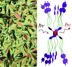 Clustomesogens: Liquid Crystal Materials Containing Transition-Metal Clusters