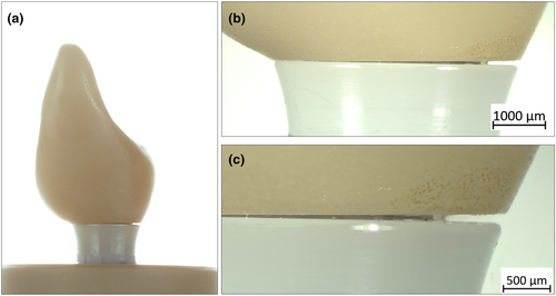 Details are in the caption following the image Details are in the caption following the image