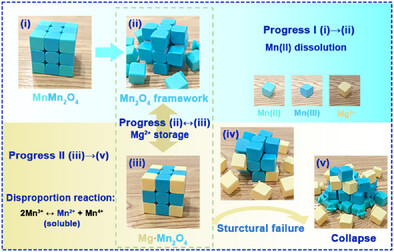 Utilizing the Mn(II) Dissolution-Induced Vacancy for Optimum Mg2+ Storage of Spinel Mn3O4