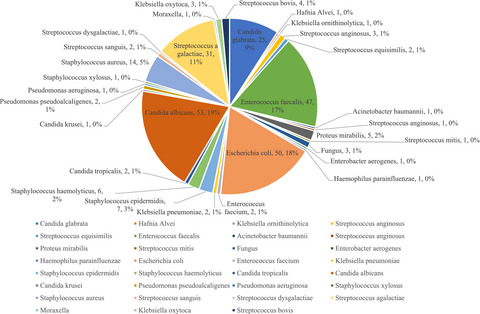 Study on perinatal-related factors of maternity and newborn in parturients with intrapartum fever in part of Eastern China: A cross-sectional study