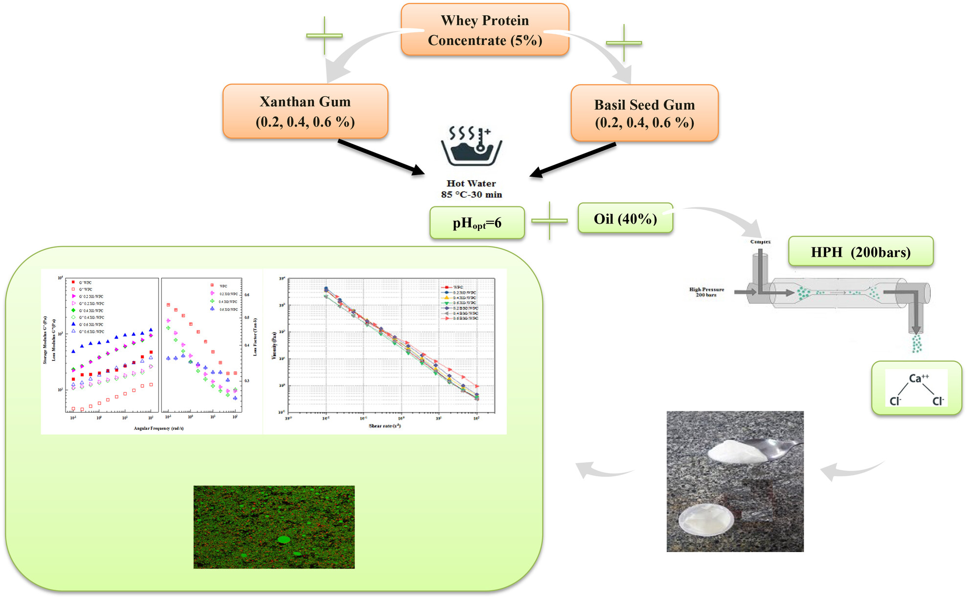 Improving the structure and properties of whey protein emulsion gel using soluble interactions with xanthan and basil seed gum