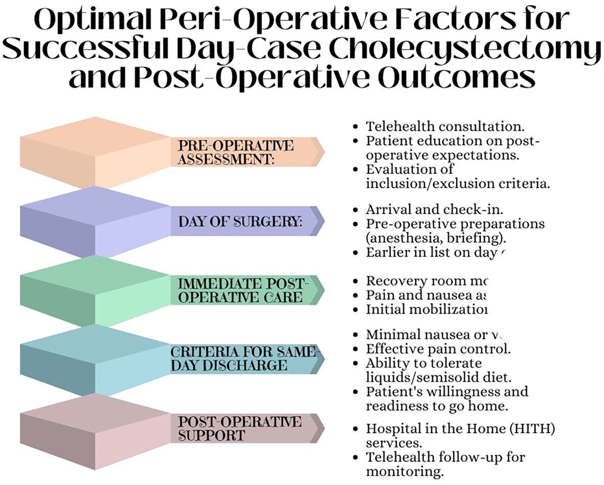 Day case laparoscopic cholecystectomy: a review of patient selection factors and identification of potential barriers to same-day discharge