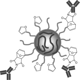 Immuno-Polymeric Nanoparticles by Diels–Alder Chemistry