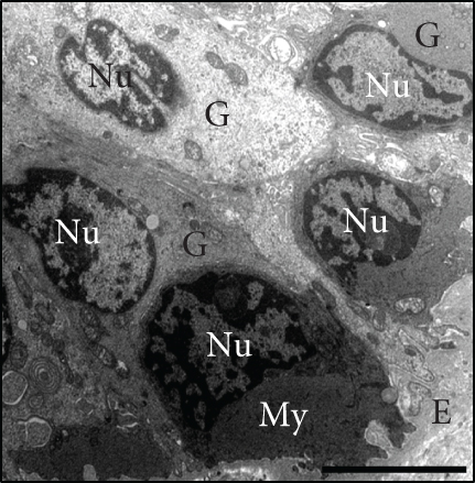 Details are in the caption following the image