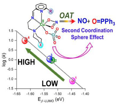 Electronically Asynchronous Transition State Tuned from Remote Site for Oxygen Atom Transfer by CuII–Nitrite Complexes