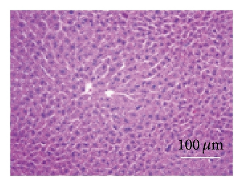 Details are in the caption following the image