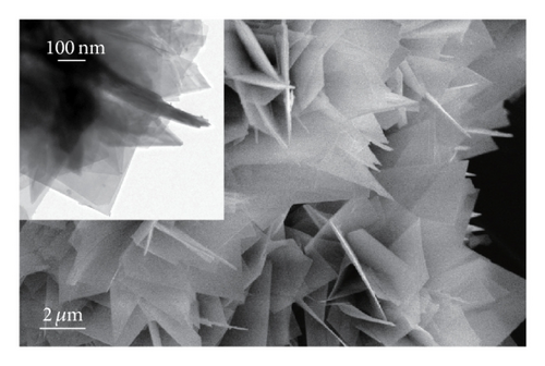 Details are in the caption following the image