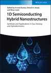 Cover image of 1D Semiconducting Hybrid Nanostructures