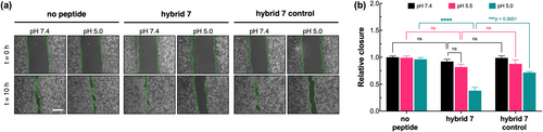 Details are in the caption following the image Details are in the caption following the image