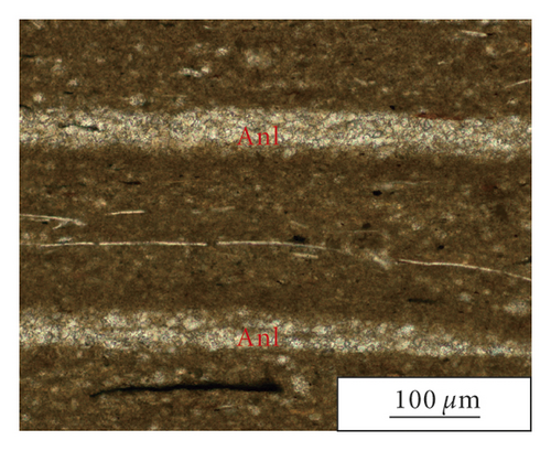 Details are in the caption following the image