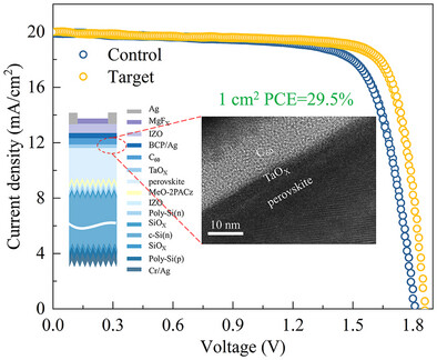 Enhancing Interfacial Contact in Perovskite/Silicon Tandem Solar Cells Through TaOX Passivation