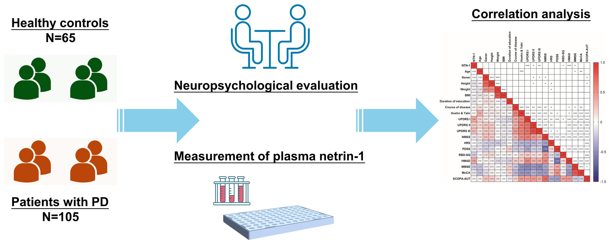 Association between plasma Netrin-1 levels and motor and nonmotor symptoms in Parkinson's disease