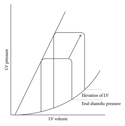 Details are in the caption following the image