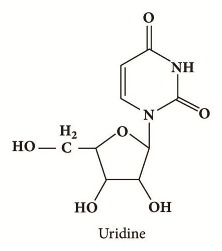 Details are in the caption following the image