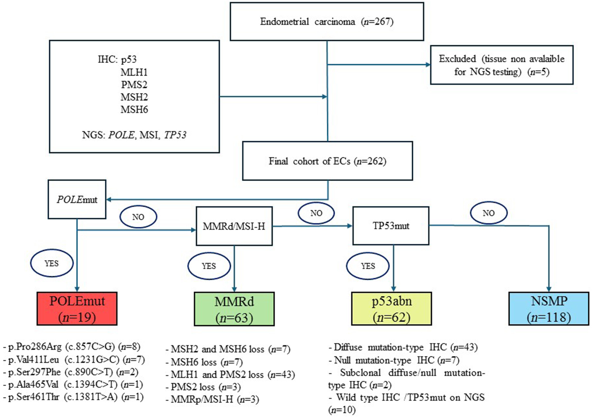 Initiation of molecular testing of endometrial carcinomas in a population-based setting: practical considerations and pitfalls
